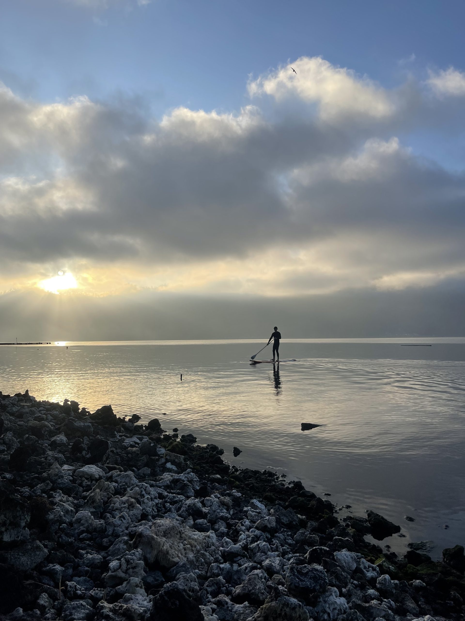 Stand up Paddel - Image 3